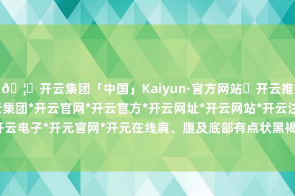 🦄开云集团「中国」Kaiyun·官方网站✅开云推荐✅我们为您提供:开云集团*开云官网*开云官方*开云网址*开云网站*开云注册*开云开户*开云电子*开元官网*开元在线肩、腹及底部有点状黑褐色痕-开云集团「中国」Kaiyun·官方网站