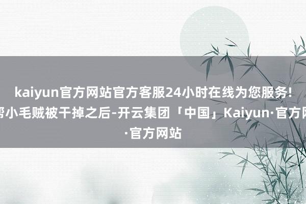 kaiyun官方网站官方客服24小时在线为您服务!这帮小毛贼被干掉之后-开云集团「中国」Kaiyun·官方网站