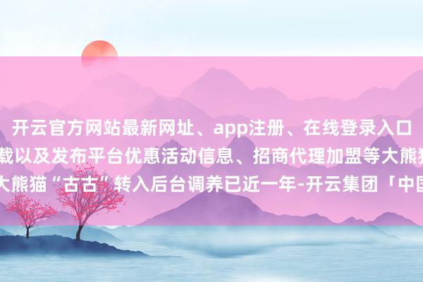 开云官方网站最新网址、app注册、在线登录入口、手机网页版、客户端下载以及发布平台优惠活动信息、招商代理加盟等大熊猫“古古”转入后台调养已近一年-开云集团「中国」Kaiyun·官方网站