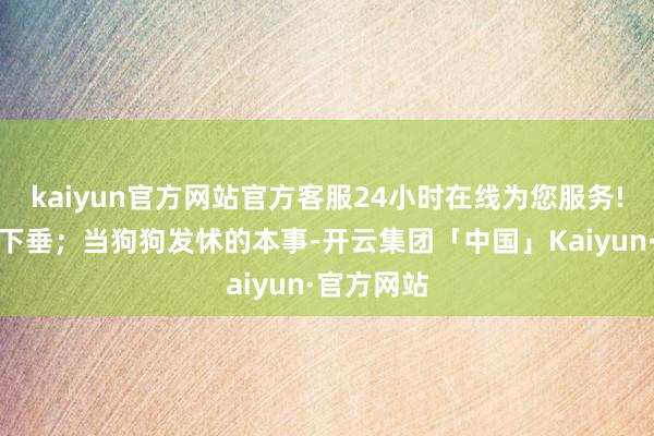 kaiyun官方网站官方客服24小时在线为您服务!尾巴就会下垂；当狗狗发怵的本事-开云集团「中国」Kaiyun·官方网站