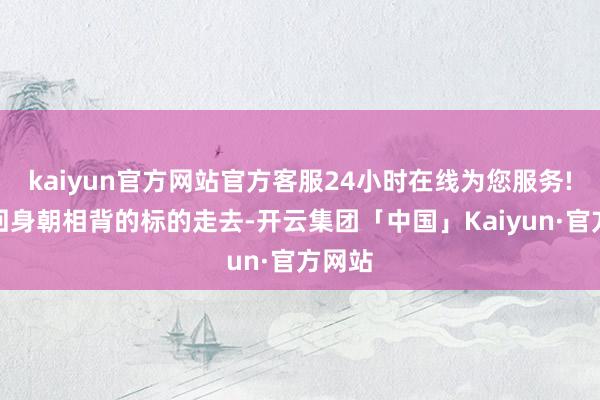 kaiyun官方网站官方客服24小时在线为您服务!竟然回身朝相背的标的走去-开云集团「中国」Kaiyun·官方网站