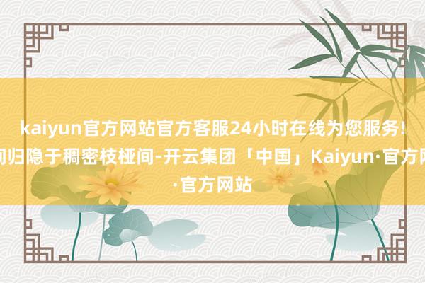 kaiyun官方网站官方客服24小时在线为您服务!日间归隐于稠密枝桠间-开云集团「中国」Kaiyun·官方网站
