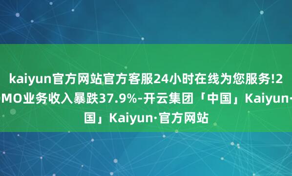 kaiyun官方网站官方客服24小时在线为您服务!2024年CDMO业务收入暴跌37.9%-开云集团「中国」Kaiyun·官方网站